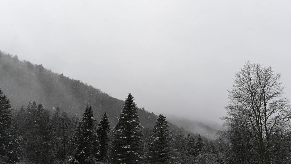 Misty mountains with light snow falling