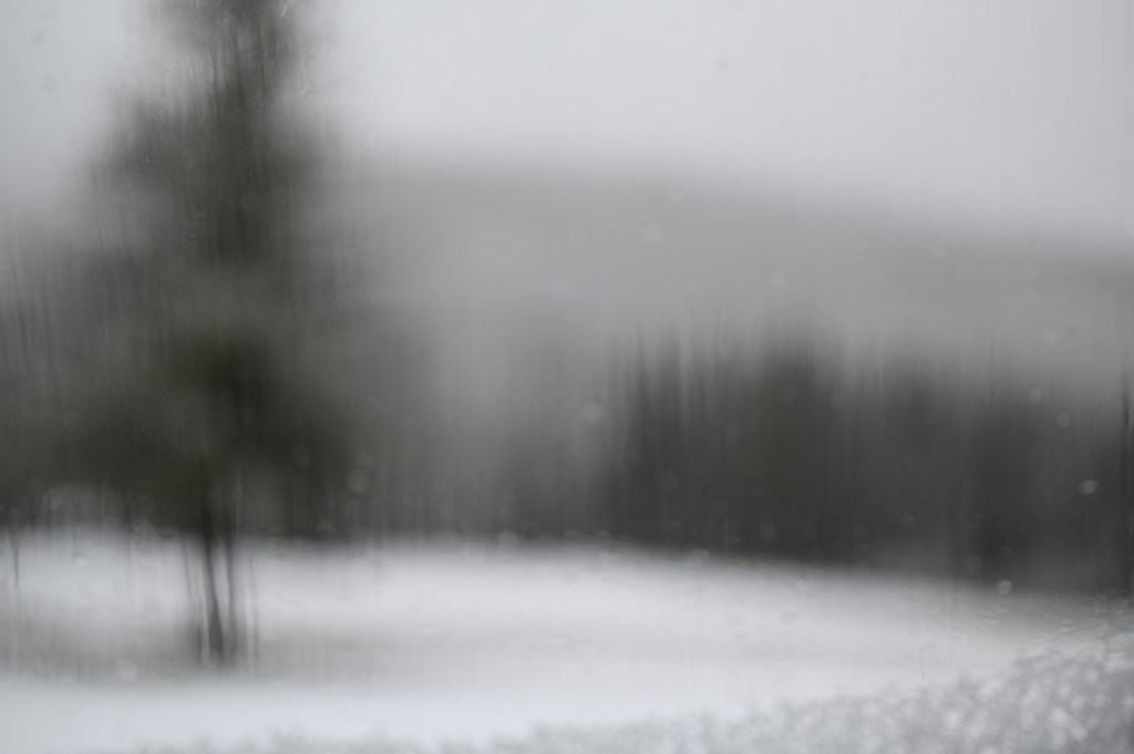 Out of focus trees photographed through wet glass